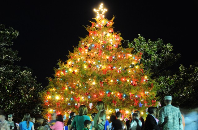 Oh, Christmas tree: Event kicks off holiday season