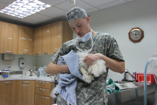 106th Medical Detachment Provides Care for Furry Friends
