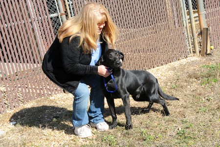 providing winter storm veterinary relief care — Rockin' Pets