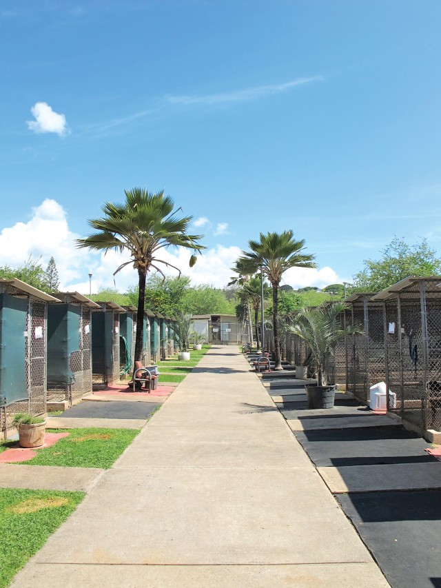 MWR Kennels is a second home for military pets