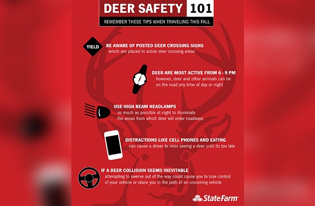 Oh Deer! JAG briefs deer strike safety, policies