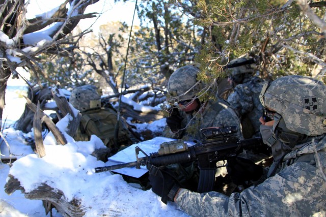 1-38IN winter reconnaissance
