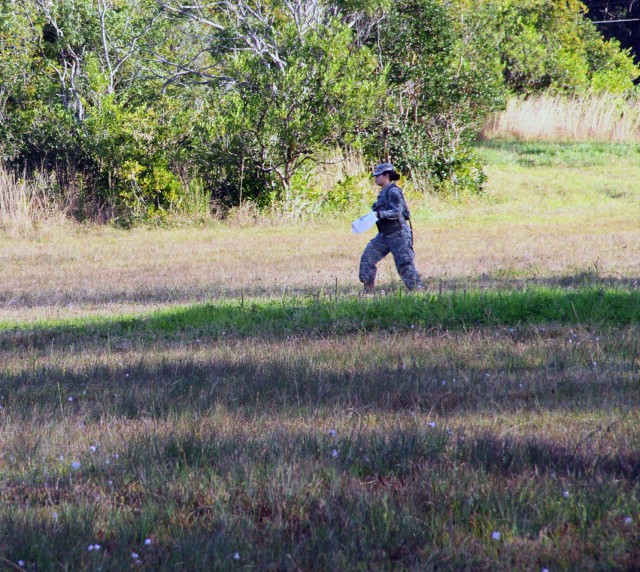 On the hunt