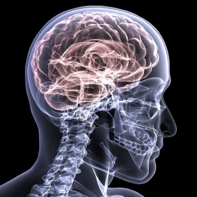 Traumatic Brain Injury awareness month highlights resources 