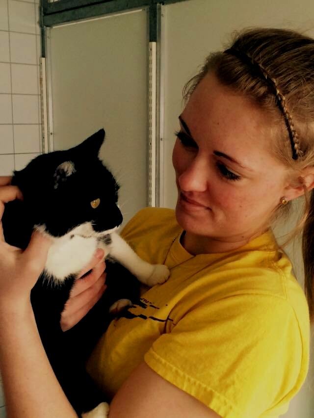 Kuscheln mit dem Kaetzchen