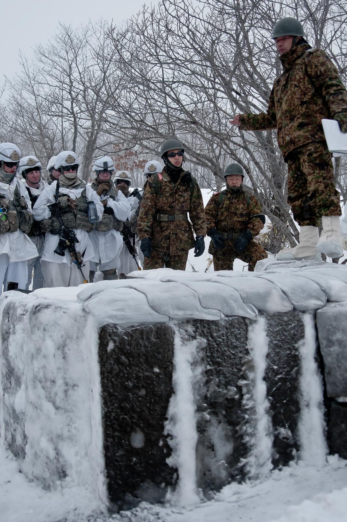 Japan, US armies train together during Exercise North Wind 2015