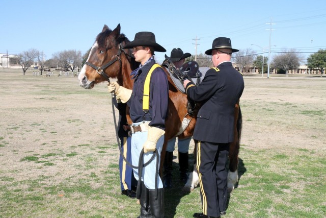 First Team retires long-serving horses