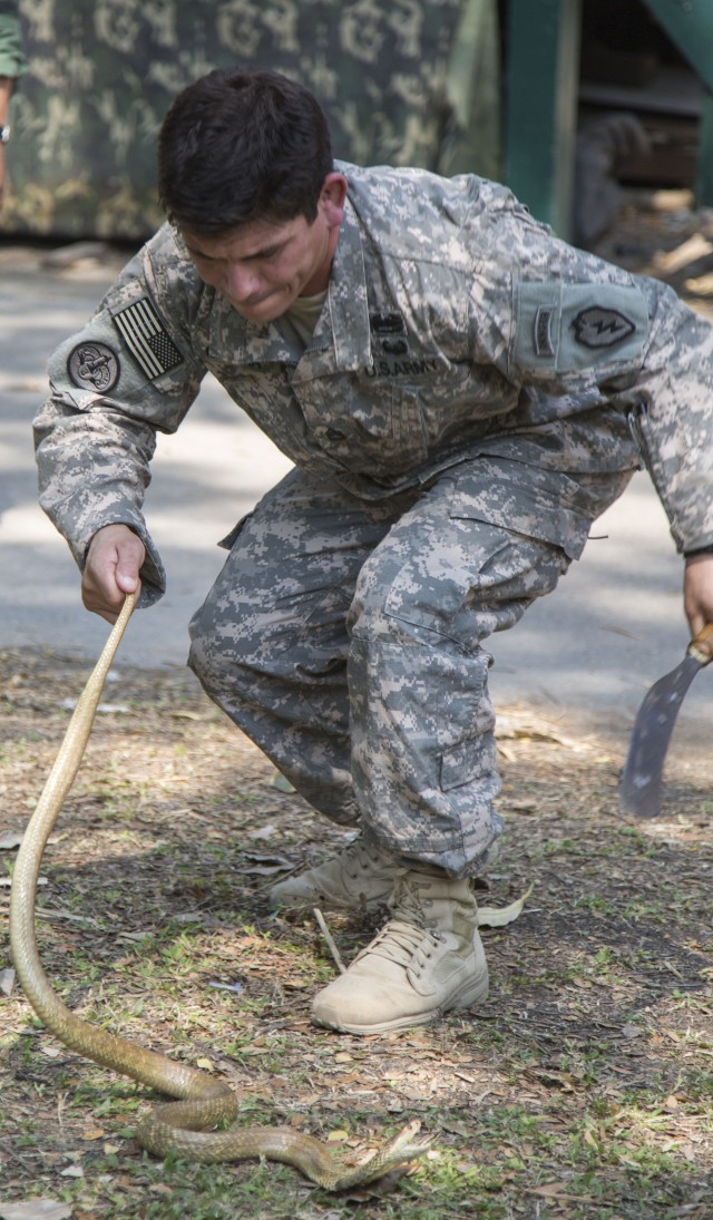 25th ID, Thai soldiers conduct field and jungle training