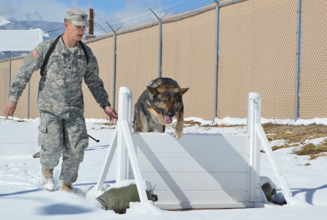 69th MPs are top dogs in FORSCOM