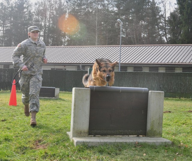 Soldier says goodbye to military working dog