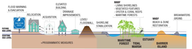 Coastal Storm Risk Management Strategies