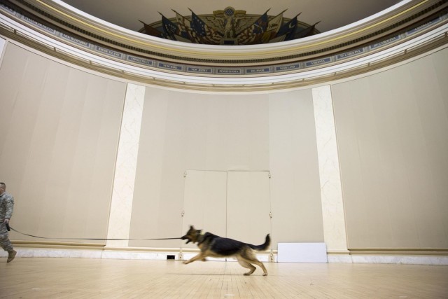 Military working dogs sniff out narcotics, explosives