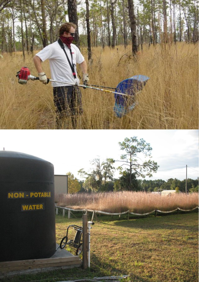 ITAM seed propagation