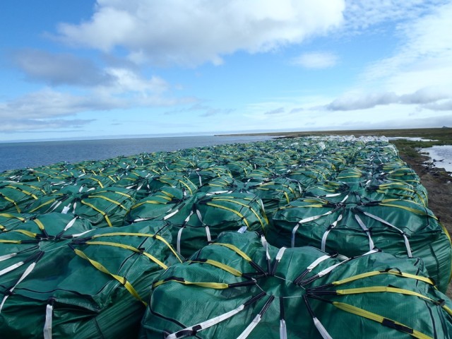 Cargo Beach staging of contaminated soil