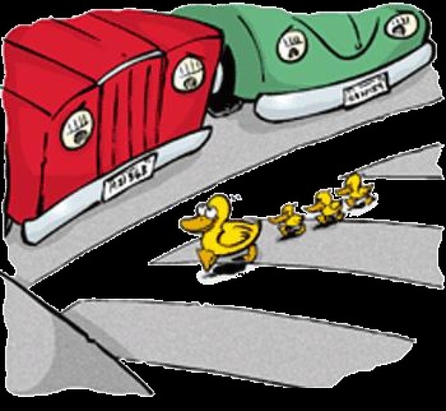 SMDC Safety: Pedestrian Safety Tips