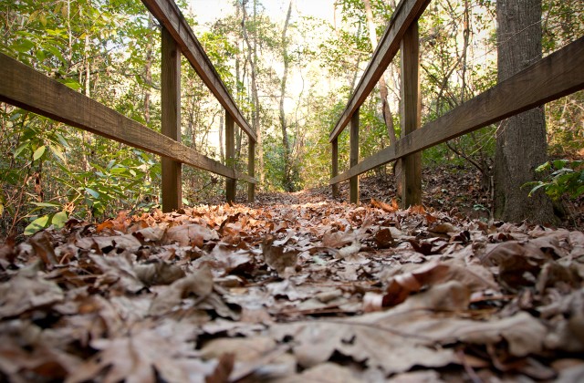 Adopt-a-Trail: Volunteers sought to breathe new life into old trails