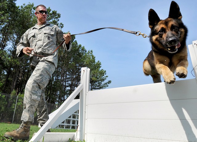 New military working dog equipment sets give service handlers a 'paw up'