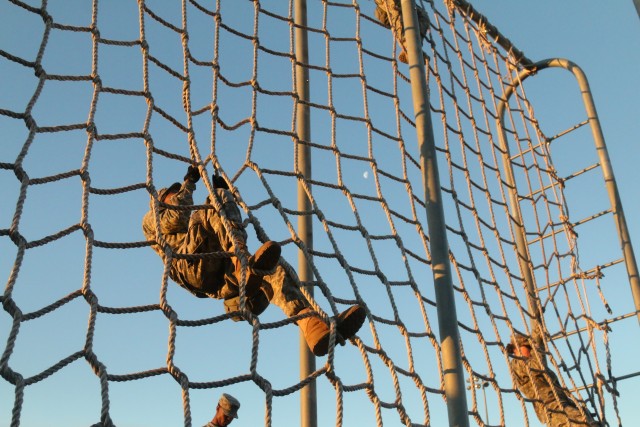 Building Strength through Diversity