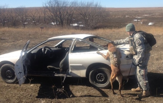 20th CBRNE troops host Military Working Dog training