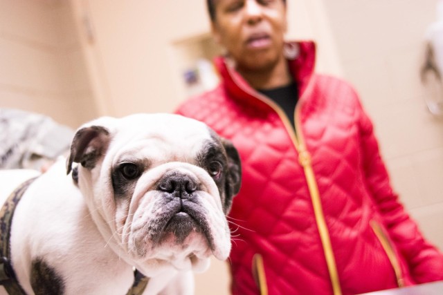 Veterinary Treatment Facility keeps Fido and Fluffy feeling pawtastic