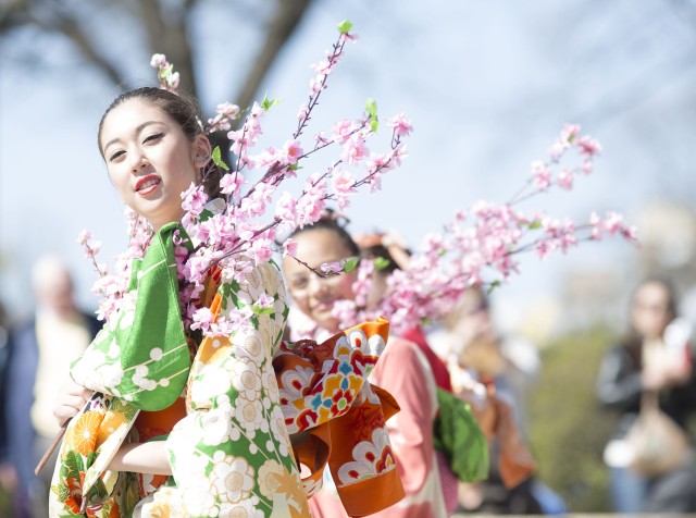 Southwest Waterfront celebrates 103 years of cherry blossoms