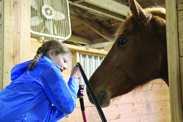 Horsing around: Fort Campbell Riding Stables train future equestrians