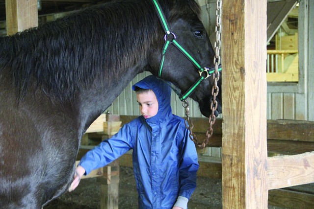 Horsing around: Fort Campbell Riding Stables train future equestrians