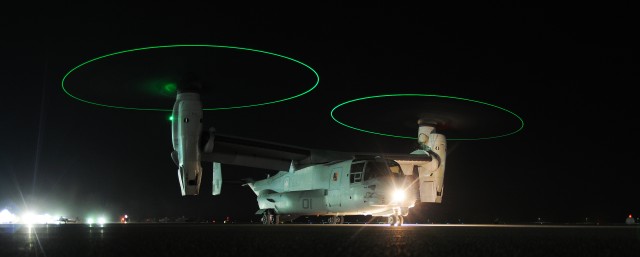 Osprey