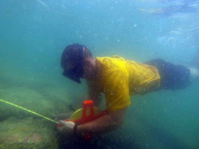 Army divers inspect Kuwait Coast Guard harbor