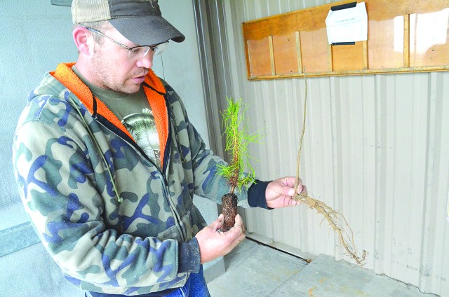 Forestry, food program cultivate partnership