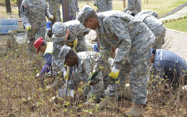 Area II Soldiers plant seeds of alliance