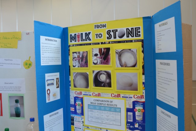 Arnn students showcase their projects at annual science fair