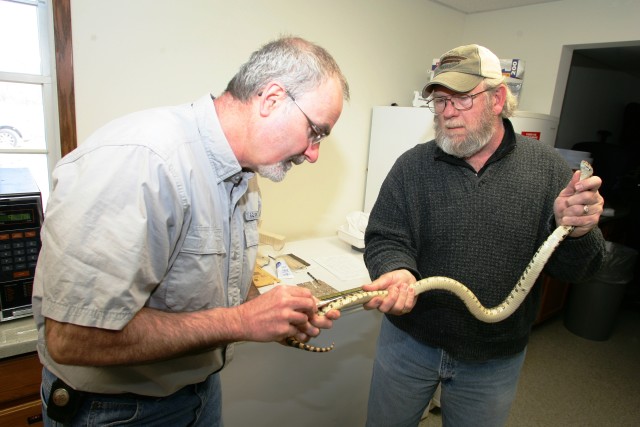 Snake survey