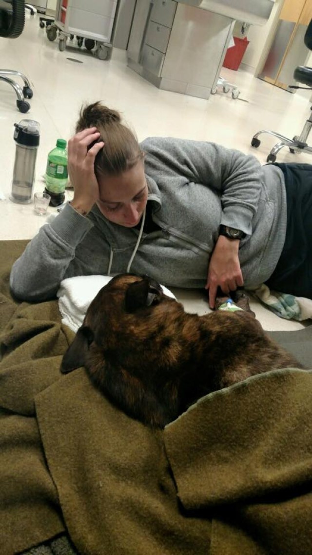 All Military Working Dogs go to Heaven