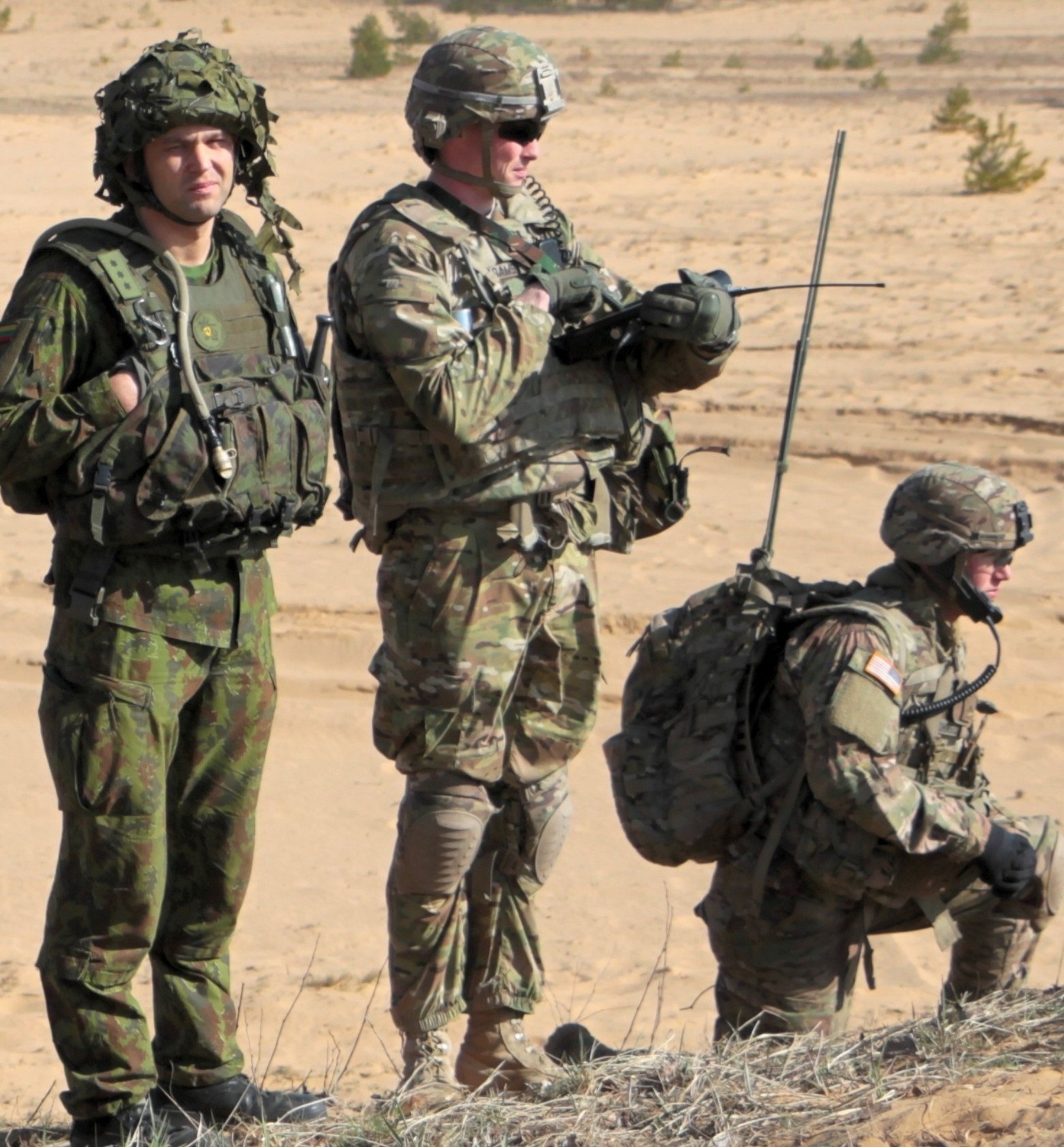 Team Eagle and Iron Wolf conduct live-fire exercise | Article | The ...