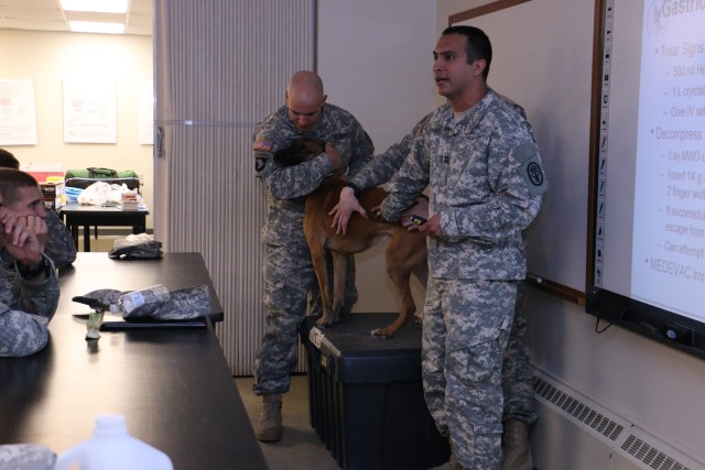 Canine Tactical Combat Casualty Care 