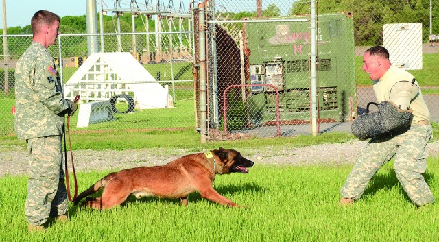 MWD teams train to certify