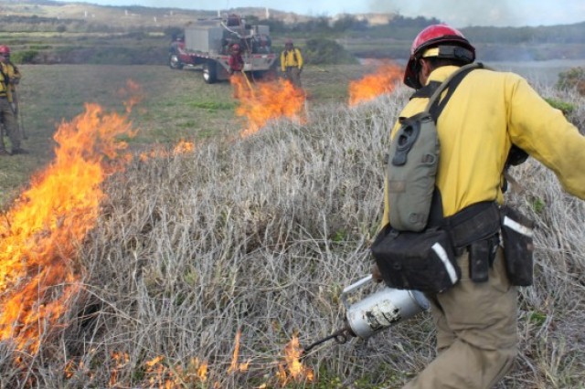 Army takes action against summer wildfires