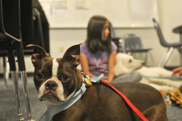 3rd Cav trooper volunteers with 'Buster the Tank Dog'