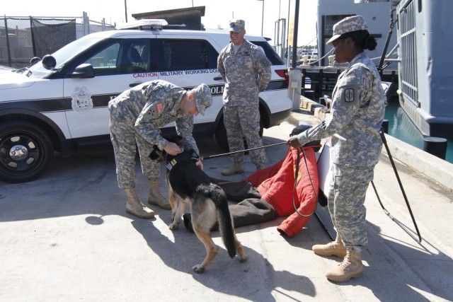 Pacific-based Service members share unique capabilities with Dailey