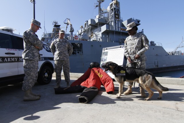 Pacific-based Service members share unique capabilities with Dailey