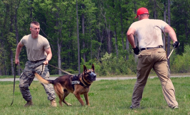 U.S. Army Military Working Dog team