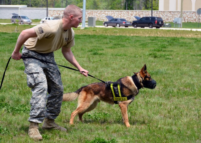 Military Working Dog team 