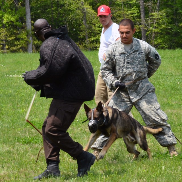 U.S. Army Military Working Dog team from the Military District of Washington