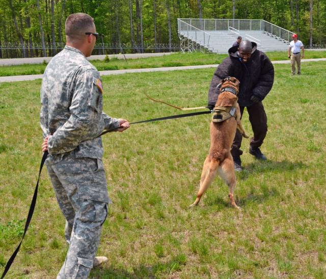 U.S. Army Military Working Dog team trains on Fort A.P. Hill