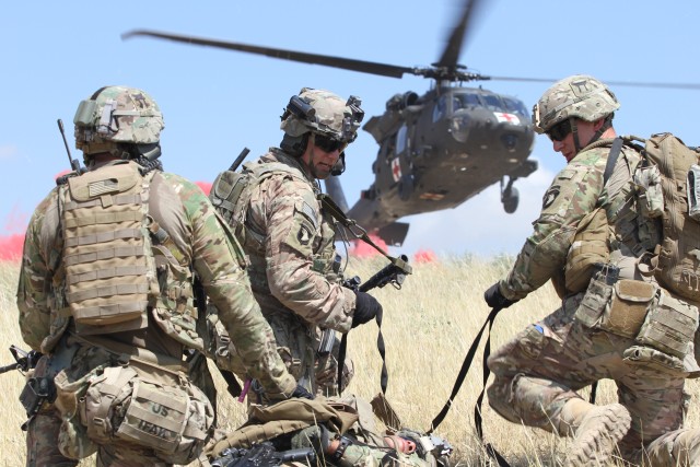 101st Airborne Division's 3BCT, 101CAB combine capabilities for live fire event in Afghanistan