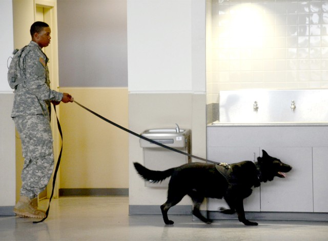 MWDs certify during FORSCOM Certification week