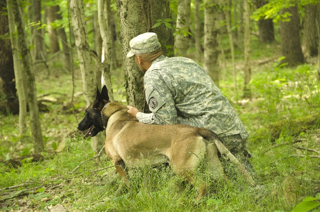 MWDs certify during FORSCOM Certification week