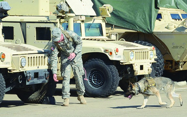 MWDs certify during FORSCOM Certification week
