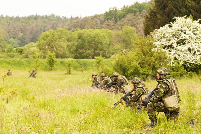 Romania proving a strong ally during Exercise Combined Resolve IV